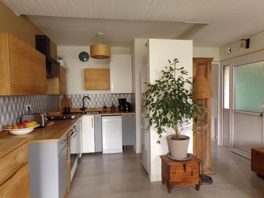 Appartement Avec Jardinet Et Terrasse *
